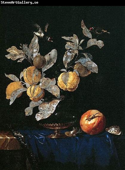 Aelst, Willem van with Fruit